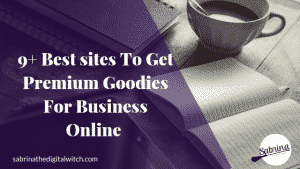 Read more about the article The 9+ Best Sites To Get Premium Goodies For Business Online