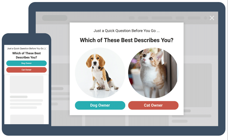 Segmentation pop-up widget