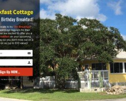 Opt-in page Opt-in page funnel